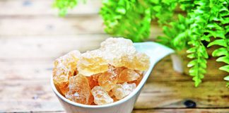 শরীর সুস্থ রাখতে তালমিছরি খেতে পারেন