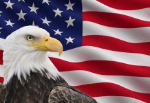 টাক ইগলকে আমেরিকার জাতীয় পাখির স্বীকৃতি