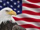 টাক ইগলকে আমেরিকার জাতীয় পাখির স্বীকৃতি