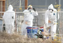 বার্ড ফ্লু আতঙ্ক, ক্যালিফোর্নিয়ায় জরুরি অবস্থা জারি