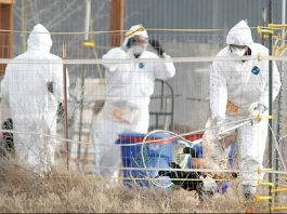 বার্ড ফ্লু আতঙ্ক, ক্যালিফোর্নিয়ায় জরুরি অবস্থা জারি