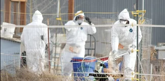 বার্ড ফ্লু আতঙ্ক, ক্যালিফোর্নিয়ায় জরুরি অবস্থা জারি