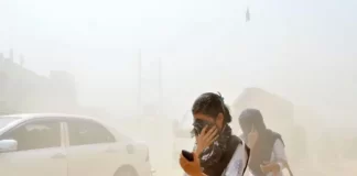 বায়ুদূষণ নিয়ন্ত্রণে টাস্কফোর্স গঠন করবে সরকার: উপদেষ্টা রিজওয়ানা