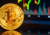 আবারো বিটকয়েনের দাম বাড়লো ৬ শতাংশ