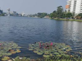 মাদারীপুরে শকুনি লেকের সৌন্দর্যে মুগ্ধ দর্শনার্থীরা