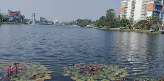 মাদারীপুরে শকুনি লেকের সৌন্দর্যে মুগ্ধ দর্শনার্থীরা