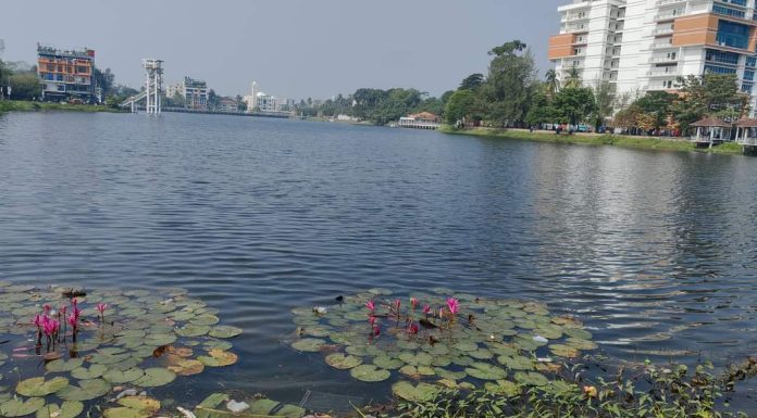 মাদারীপুরে শকুনি লেকের সৌন্দর্যে মুগ্ধ দর্শনার্থীরা