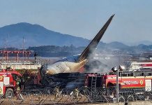 দক্ষিণ কোরিয়ায় বিমান বিধ্বস্তে নিহত ১৭৯