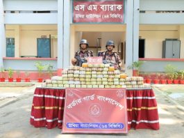 কক্সবাজার সীমান্তে বিজিবির ইতিহাসে একদিনে সর্ববৃহৎ ইয়াবা জব্দ