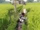 চাঁদার দাবিতে হামলা, ৫ দিনে ৬ ট্রান্সফরমার চুরি