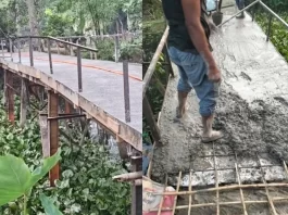 বরিশালে ব্রিজ নির্মাণে রডের পরিবর্তে বাঁশের কঞ্চি দিয়ে ঢালাই