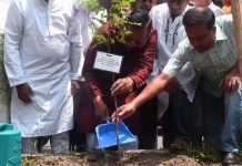 ৫ বছরে ৩ লাখ গাছ লাগাবে ঢাকা দক্ষিণ সিটি করপোরেশন
