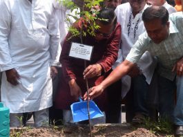 ৫ বছরে ৩ লাখ গাছ লাগাবে ঢাকা দক্ষিণ সিটি করপোরেশন