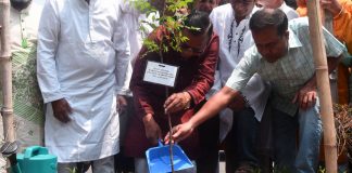 ৫ বছরে ৩ লাখ গাছ লাগাবে ঢাকা দক্ষিণ সিটি করপোরেশন