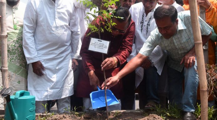 ৫ বছরে ৩ লাখ গাছ লাগাবে ঢাকা দক্ষিণ সিটি করপোরেশন