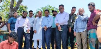 ক্ষতিগ্রস্ত কৃষকদের জন্য সরকারের ৩ মাসের বিশেষ সহায়তা ঘোষণা