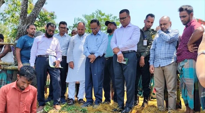 ক্ষতিগ্রস্ত কৃষকদের জন্য সরকারের ৩ মাসের বিশেষ সহায়তা ঘোষণা