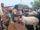 সিরাজগঞ্জের চান্দাইকোনা পশুর হাটে ক্রেতা-বিক্রেতাদের উপচে পড়া ভিড়