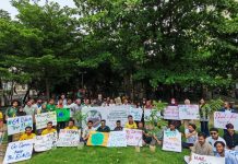 পরিবেশ দিবসে সারাদেশে একযোগে বৃক্ষরোপণ কর্মসূচি পালিত
