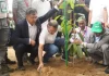 দেশব্যাপী ২৫ কোটি বৃক্ষরোপণ কর্মসূচির উদ্বোধন করলেন প্রধানমন্ত্রী