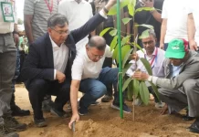 দেশব্যাপী ২৫ কোটি বৃক্ষরোপণ কর্মসূচির উদ্বোধন করলেন প্রধানমন্ত্রী
