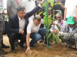 দেশব্যাপী ২৫ কোটি বৃক্ষরোপণ কর্মসূচির উদ্বোধন করলেন প্রধানমন্ত্রী