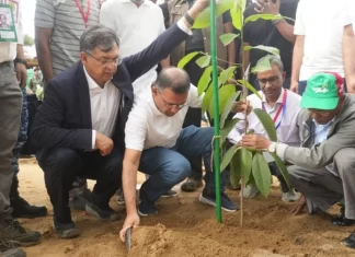 দেশব্যাপী ২৫ কোটি বৃক্ষরোপণ কর্মসূচির উদ্বোধন করলেন প্রধানমন্ত্রী