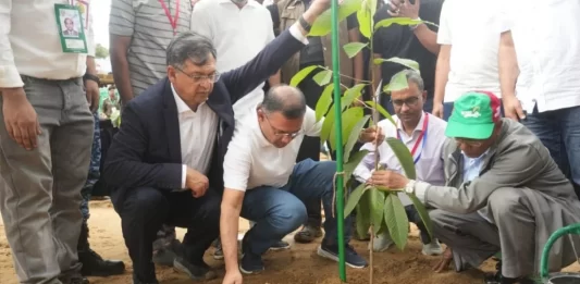 দেশব্যাপী ২৫ কোটি বৃক্ষরোপণ কর্মসূচির উদ্বোধন করলেন প্রধানমন্ত্রী